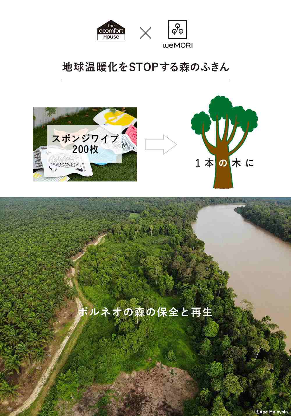 ナチュラル・アプローチのすすめ ナチュラル・アプローチのすすめ (英語指導法叢書