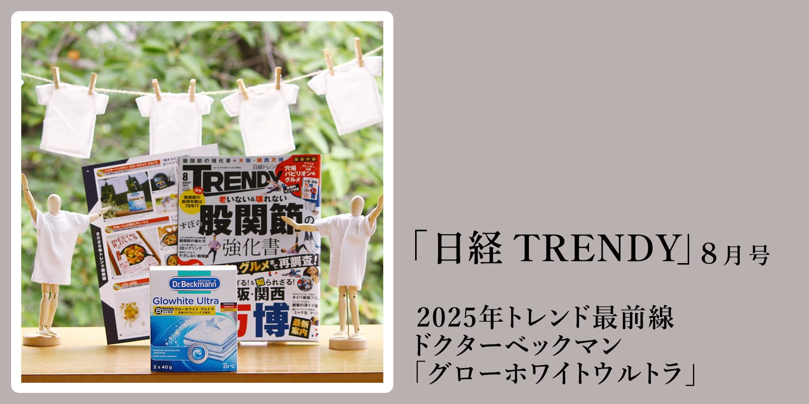 サステナブルショップ エコンフォートハウス ecomfortHouse