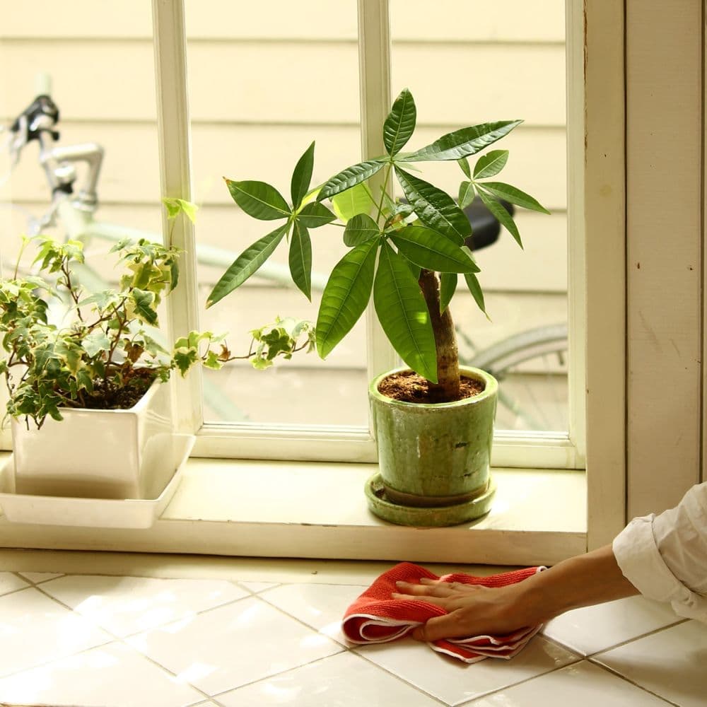 Mq Duotex ニットクロス レンジ 水回り 床 畳用 レッド エコンフォートハウス Ecomforthouse Klippan クリッパン 総輸入元