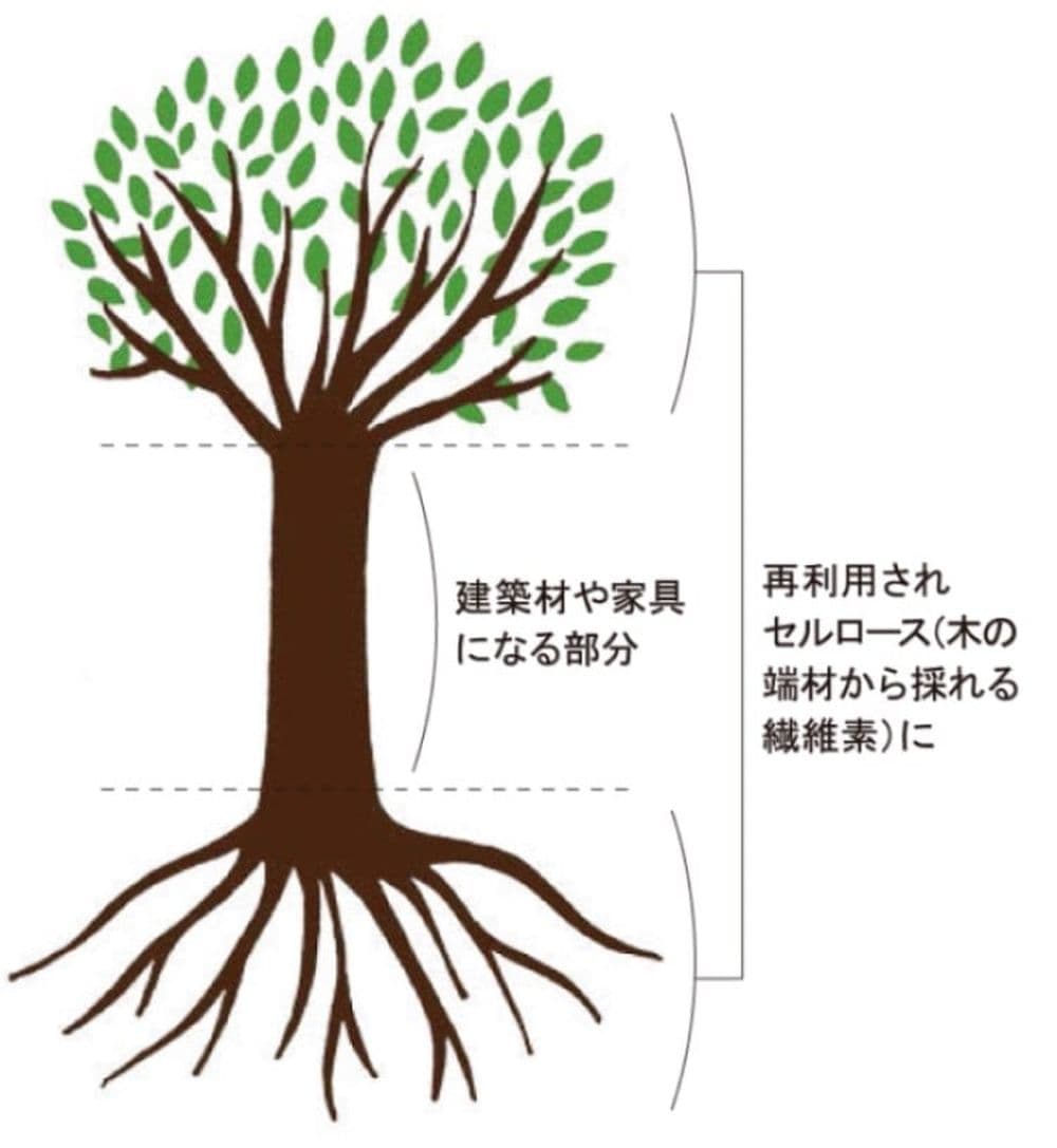 ポップアップスポンジ 点と線模様製作所 夏の村 | サステナブル ポップアップスポンジ 点と線模様製作所 夏の村 | サステナブル