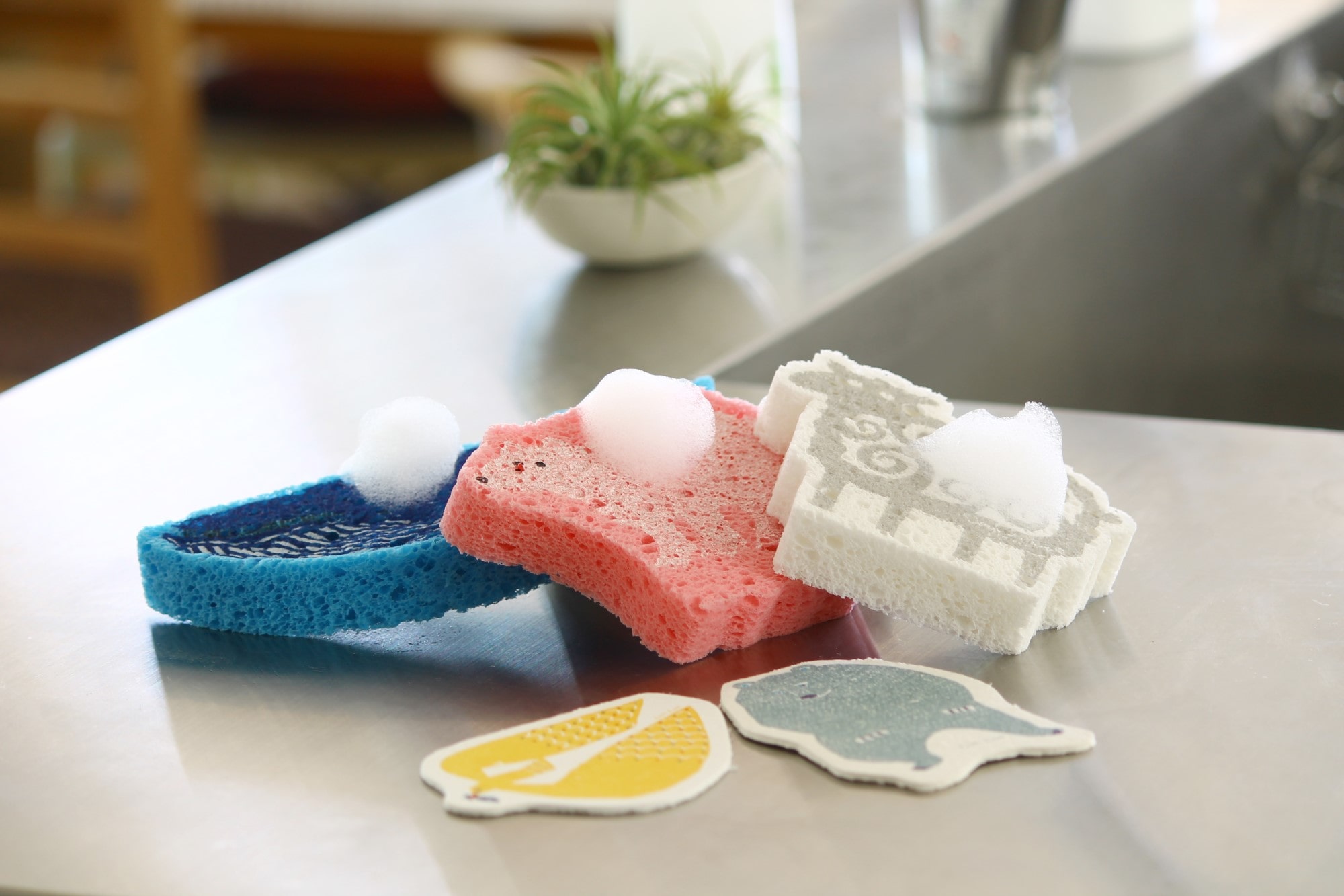 サステナブル ノベルティ ポップアップスポンジ | サステナブル