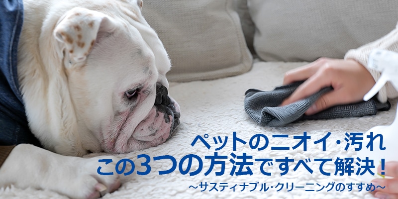 ペットのニオイ 汚れこの3つの方法ですべて解決 サステナブルクリーニングのススメ エコンフォートハウス Ecomforthouse Klippan クリッパン 総輸入元