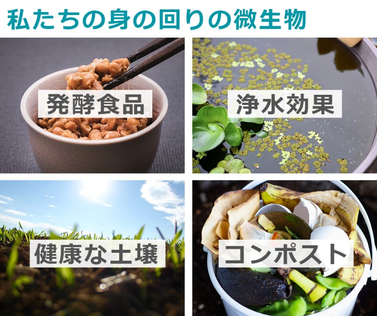 家中どこでも使え、酵素の力で汚れを高速分解、ナチュラルなのにしっかり汚れを落とす eezym マルチサーフェスクリーナー購入で送料無料!