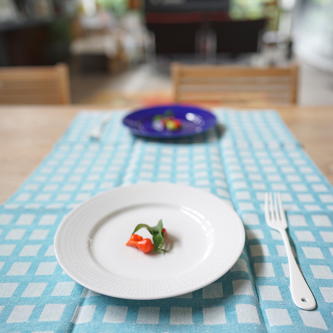 Vaxbo Lin/ヴェクスボリン リネンのキッチンタオル チェック リーフ